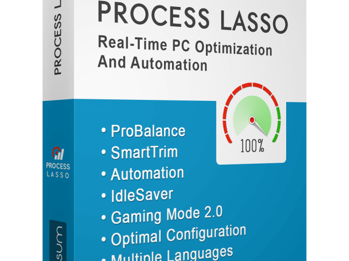 Process Lasso Pro 10.4.8.8 Crack