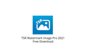 visual watermark crack download
